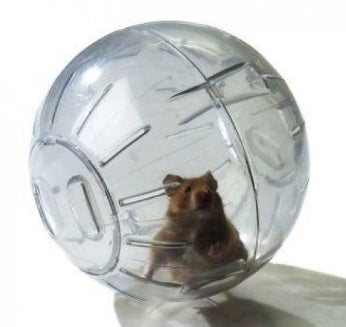 Super Pet Run About Hamster Ball